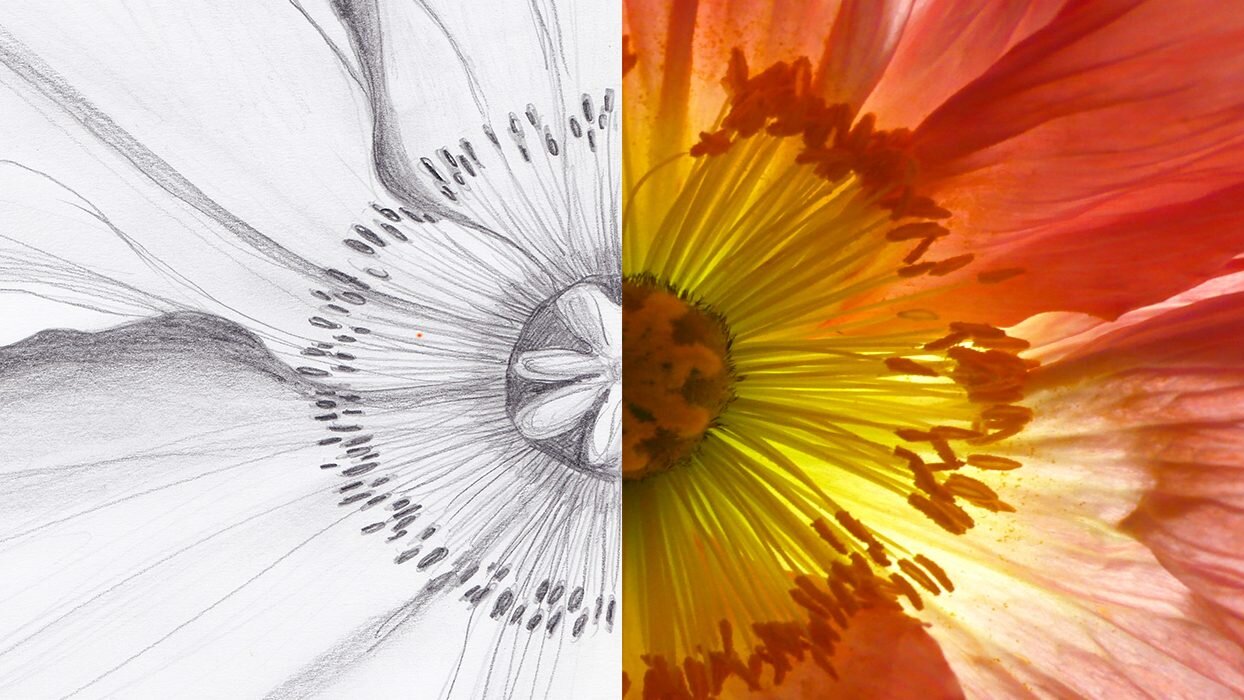 Blumenhaus Herfurth