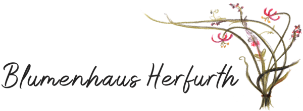 Blumenhaus Herfurth